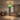 Cassia light in a living room